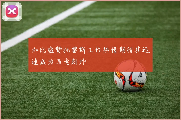 加比盛赞托雷斯工作热情期待其迅速成为马竞新帅
