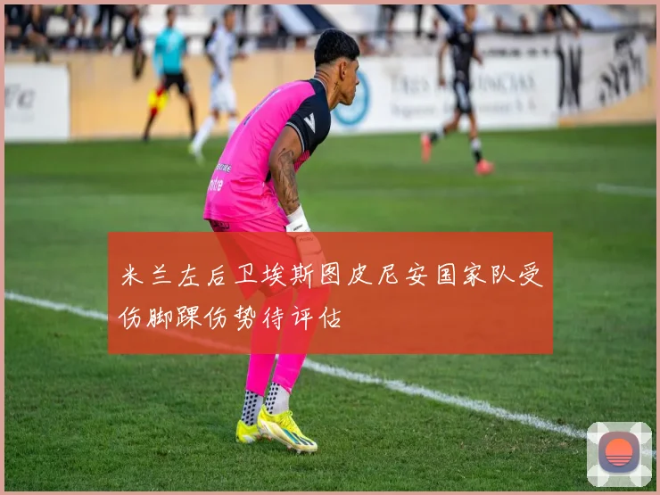 米兰左后卫埃斯图皮尼安国家队受伤脚踝伤势待评估