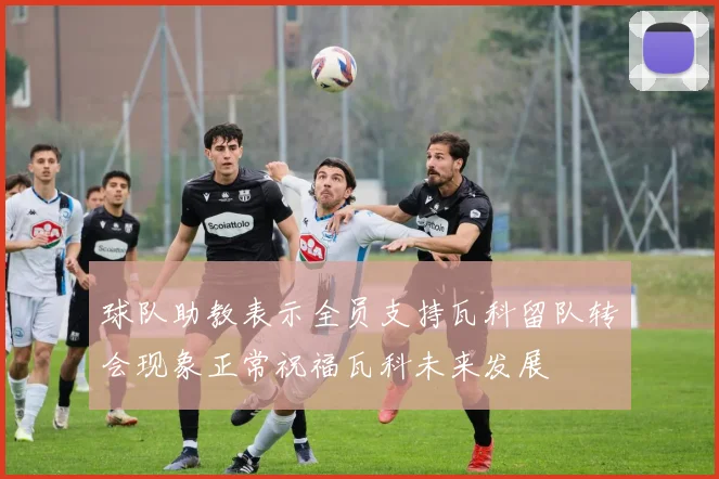 球队助教表示全员支持瓦科留队转会现象正常祝福瓦科未来发展