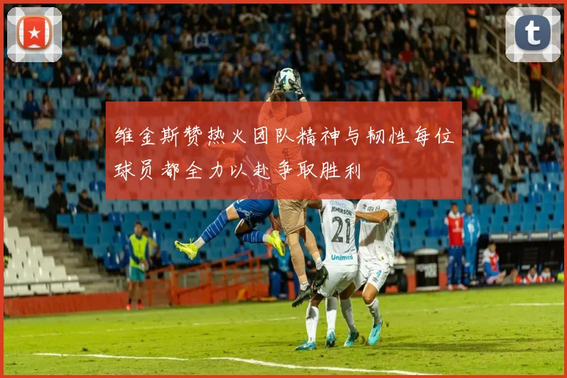 维金斯赞热火团队精神与韧性每位球员都全力以赴争取胜利