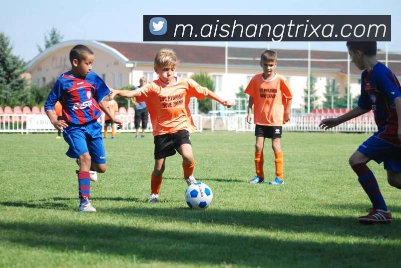 爱尚体育平台生态图