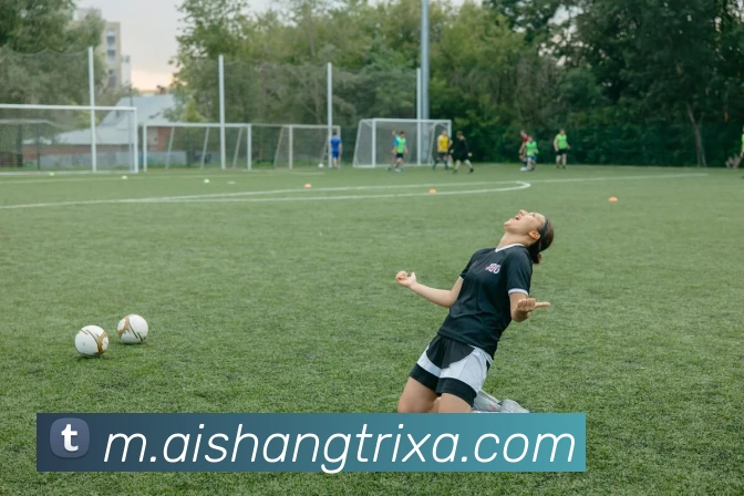 爱尚体育全站App